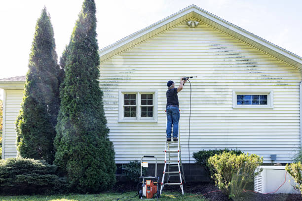 Best Gutter Cleaning  in Shafer, MN